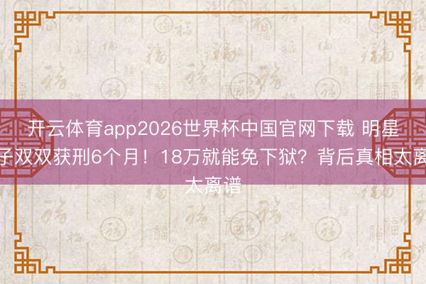开云体育app2026世界杯中国官网下载 明星妻子双双获刑6个月！18万就能免下狱？背后真相太离谱