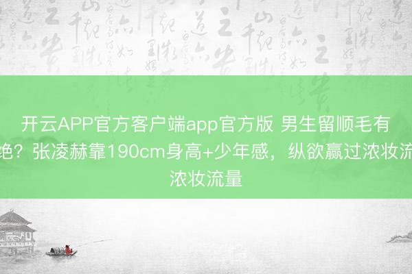 开云APP官方客户端app官方版 男生留顺毛有多绝？张凌赫靠190cm身高+少年感，纵欲赢过浓妆流量