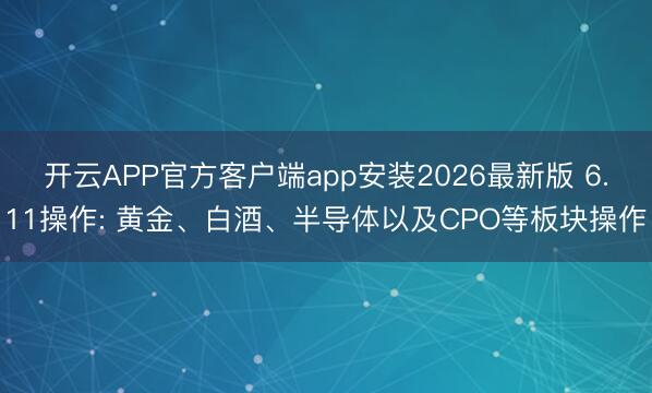 开云APP官方客户端app安装2026最新版 6.11操作: 黄金、白酒、半导体以及CPO等板块操作