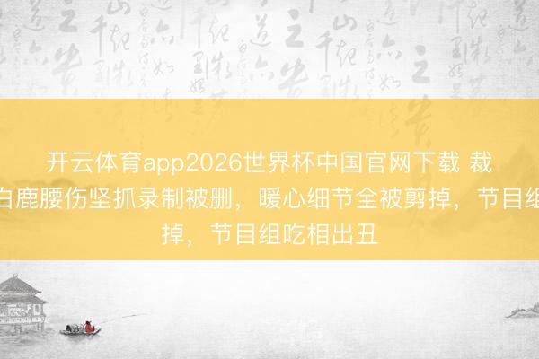 开云体育app2026世界杯中国官网下载 裁剪翻车！白鹿腰伤坚抓录制被删，暖心细节全被剪掉，节目组吃相出丑
